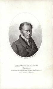 Henry Cassini tekijältä French School