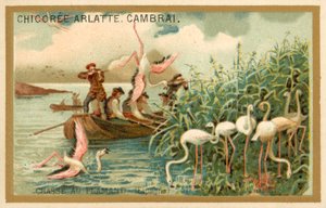 Metsästys flamingoja, Espanja (chromolitho) tekijältä French School