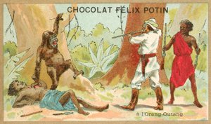 Metsästys orangutan (chromolitho) tekijältä French School