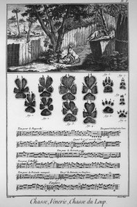 Metsästys sutta (eri tapoja tai ansoja susien sieppaamiseen) - "" The Great Encyclopedie, ou Dictionnaire Raisonne des Sciences, des Arts et des Metiers"" (Encyclopedia tai Dictionary of the Sciences, Arts and Professions), kirjoittanut Denis Diderot (1713 tekijältä French School