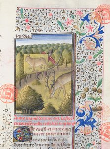 Gaston Phebus de Foix (1331-91) Livre de la Chasse -vuorelta piiloutuva metsästäjä metsästäessään polttareita tekijältä French School