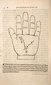 Kuvitus Chiromantiasta, Joannes Indagioe, Strasbourg, 1531 (painatus ja kaiverrus) tekijältä French School