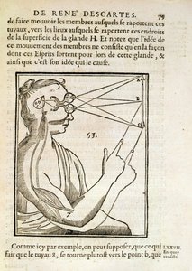 Kuvitus Rene Descartesin (1596-1650) De Homine Figuris -julkaisusta, julkaistu Haagissa, 1662 tekijältä French School