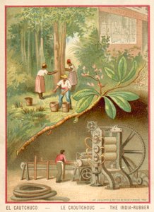 Intian kumi (chromolitho) tekijältä French School