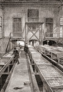 1800-luvun kalanviljelylaitoksen sisustus Huninguessa Ranskassa, Les Merveilles de la Science, julkaistu n. 1870 (kaiverrus) tekijältä French School