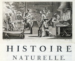 Takon sisustus - Buffonin "" Luonnonhistoriassa, yleistä ja erityistä" -kirjassa tekijältä French School