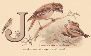 J: Young Jays Pretty ovat pelaajia ja onnellinen Jolily! tekijältä French School