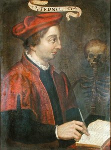 Jean Fernel (n.1497-1558) (öljy kankaalle) tekijältä French School