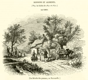 Omenoiden sadonkorjuu Normandiassa (kaiverrus) tekijältä French School