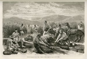Sahibin piirtämä The Fishing of the Leeches havainnollistamaan Henry Bellen tarinaa: Matkailu Kreikassa tekijältä French School