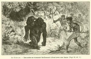 Gorilla (kaiverrus) tekijältä French School