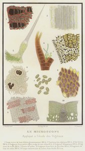 Mikroskooppi, sovellettu kasvien tutkimukseen (väri litho) tekijältä French School