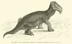 Dikynodontti, matelija triasskaudelta, Etelä-Afrikka (kaiverrus) tekijältä French School