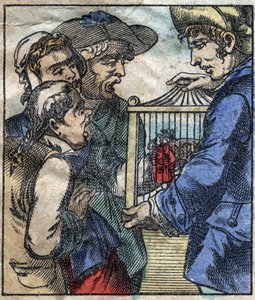 Lemuel Gulliver häkissä näytetään Brobdingnagin jättiläisille. Kuvitus Jonathan Swiftin (1667-1745) elokuvaan "" Gulliver