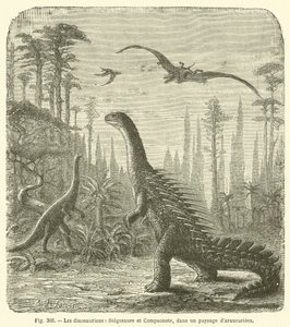 Dinosaurukset, Stegosaurus ja Compsonote, Araucariae-maisemassa (kaiverrus) tekijältä French School