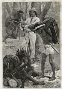 Les porters (caucheros), Darienissa (Itä-Panaman alue), kaiverrus D.Maillartin piirustuksen jälkeen havainnollistaakseen laivanluutnantin A. Reclusin tarinaa Panaman ja Darienin kannaksella vuosina 1876-1878 , julkaistu tour du mo tekijältä French School