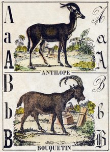 Kirjain A antilooppi; B Ibex. Kaiverrus "" Alphabet des animaux sauvages"". 9. sarja. Kuvia Epinalista, Pellerin, paino-kustantaja, noin 1870. Kaiverrukset puuhun, stenciloitu. 16 sivua. Mitat: 20 x 15 cm. Yksityinen kokoelma tekijältä French School