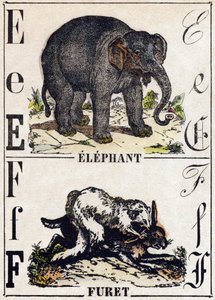 E-kirjain Elefantti; F Fretti. Kaiverrus "" Alphabet des animaux sauvages"". 9. sarja. Kuvia Epinalista, Pellerin, paino-kustantaja, noin 1870. Kaiverrukset puuhun, stenciloitu. 16 sivua. Mitat: 20 x 15 cm. Yksityinen kokoelma tekijältä French School