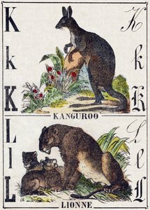 Kirjain K L; K Kanguroo; Leijona. Kaiverrus "Wild Animals Alphabet". 9. sarja. Kuvia Epinalista, Pellerin, kirjapaino-kustantaja, n. 1870. Kaiverrukset puuhun, stensiili. 16 sivua. Koko: 20 x 15 cm. Yksityinen kokoelma tekijältä French School