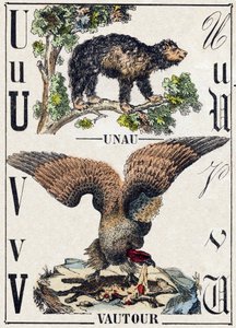 Kirjain U Unau (laiska); V Vulture. Kaiverrus "" Alphabet des animaux sauvages"". 9. sarja. Kuvia Epinalista, Pellerin, paino-kustantaja, noin 1870. Kaiverrukset puuhun, stenciloitu. 16 sivua. Mitat: 20 x 15 cm. Yksityinen kokoelma tekijältä French School
