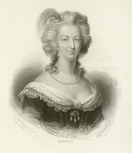 Marie Antoinette tekijältä French School