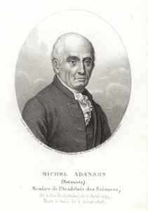 Michel Adanson tekijältä French School