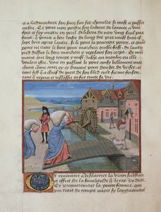 Ms 165 fol.48v A vesimylly, Rene dAnjoun ohje dun Jeune Prince, n. 1465-1468 tekijältä French School