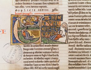 Ms 21 Fol.163v Historioitu alkukirjain E, joka kuvaa Joonan heittämistä mereen, määrittelemättömästä Raamatusta