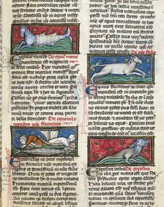 Ms 320 Fol.115r Sea Monsters, Thomas van Cantimpren (1201-72) De Natura rerumista (vellum) tekijältä French School