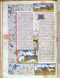 Ms 3717 metsästyskoiria, Livre de la Chassesta, kirjoittanut Gaston Phebus de Foix (1331-91) (vellum) tekijältä French School