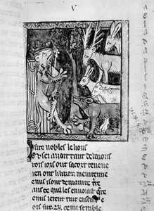 Ms Fr 1581 Aatelispiha, kuvitus Roman de Renartista tekijältä French School