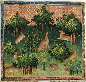 Ms Fr 616 fol.24v Jänikset metsässä, Livre de la Chassesta, kirjoittanut Gaston Phebus de Foix (1331-91) tekijältä French School