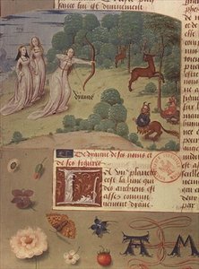 Ms Fr 9197 fol.140v Diana metsästys, Livre des Eschecs D