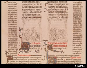 Nooa viinitarhassa ja Nooan juopuminen, Jean Syn Raamatusta, n. 1355 tekijältä French School