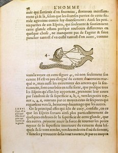 Optinen kaavio Rene Descartesin (1596-1650) De Homine Figurisista, julkaistu Haagissa, 1662 tekijältä French School