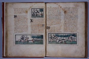 Sivut 57 ja 58, teoksesta Le Livre du Roy Modus et de la Royne Racio, kirjoittanut Henri de Ferrieres, n. 1420 (tussi ja tussi ja wc paperille). tekijältä French School