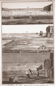 Peche de Mer - Trameau - Vesilintujen kalastus - "" Suuri tietosanakirja tai Sanakirja Raisonne des Sciences, des Arts et des Metiers" (Encyclopedia eli tieteiden, taiteiden ja ammattien sanakirja) Denis Diderot (1713-1784) ja Jean d 