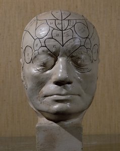 Frenologinen pää, Jean Martin Charcot (keraaminen) tekijältä French School