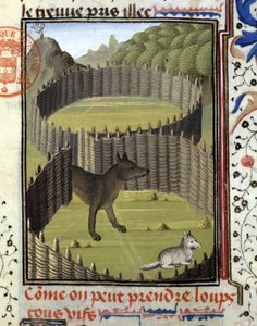Piege a wolf - "" Metsästyskirjassa Gaston Phoebus, Foixin kreivi, Lord of Béarn"" tekijältä French School