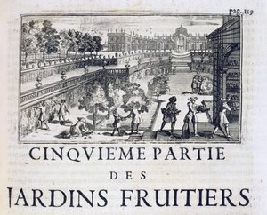 Hedelmäpuiden istuttaminen, Le Parfait Jardinier, ou Instruction pour les Jardins Fruitiers et Potager, Jean de la Quintinye, julkaistu 1695 tekijältä French School