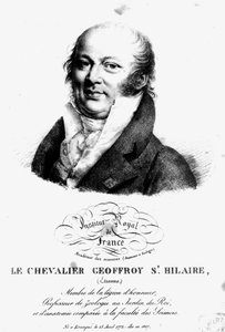 Etienne Geoffroy Saint-Hilairen (1722-1844) muotokuva tekijältä French School