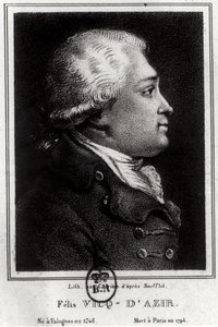 Felix Vicq dAzyrin (1748-94) muotokuva tekijältä French School