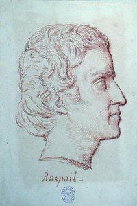 Muotokuva Francois Vincent Raspailista (1794-1878) (punainen liitu paperille) tekijältä French School