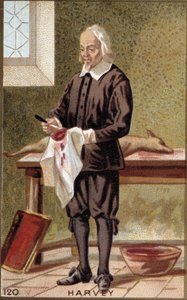William Harveyn (1578-1657), englantilaisen lääkärin muotokuva. tekijältä French School