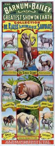 Barnum- ja Bailey-sirkuksen Collection de Rares Animaux Sauvages -juliste mainostaa