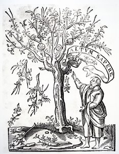 Robert Estiennen kirjapainon tunnus, Pariisi, 1526 tekijältä French School