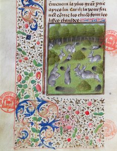 Rabbit warren, Gaston Phebus de Foixin (1331-91) Metsästyskirjasta tekijältä French School