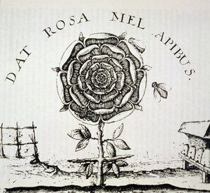 Ruusuristiläinen allegoria, kopio Johann Theodore de Bryn (n. 1598) kaiverruksesta, käytetty Taikuuden historiassa, julkaistu 1800-luvun lopulla tekijältä French School
