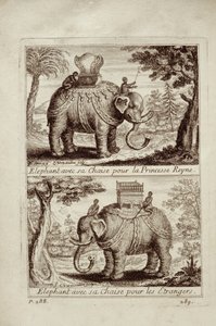 Kuninkaalliset norsut, Guy Tachardin Voyage du Siam des Peres Jesuitesista, 1688 tekijältä French School