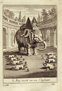 Kuninkaalliset norsut, Guy Tachardin Voyage du Siam des Peres Jesuitesista, 1688 tekijältä French School